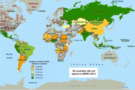 Which Countries Reported on MSM?
