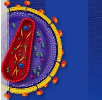 CROI: Reporte de la Conferencia sobre Retrovirus e Infecciones Oportunistas