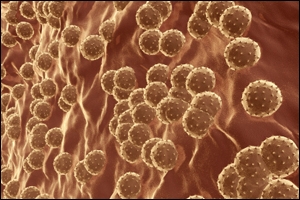 Hepatitis: Is Your Doctor in the Dark?