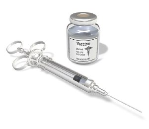 Promising New Research on Preventive and Therapeutic HIV Vaccines