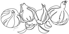 Garlic