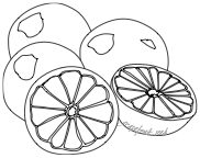 Grapefruit Seed