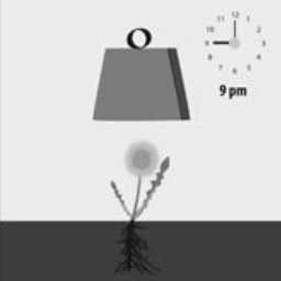 HIV Is a Weed; Treatment Stops the Weed From Growing