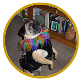 Charlene Anderson's dog.