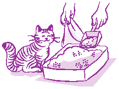 What Can I Do to Protect Myself From Infections Spread by Animals?