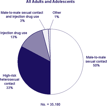 Transmission category for persons with a new HIV diagnosis in 2006   All Adults and Adolescents Male-to-male sexual contact and injection drug use 3% Injection drug use 13% Male-to-male sexual contact 50% High-risk heterosexual contact 33% other 1% no. = 35,180