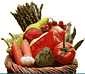 Nutrition for Everyone
