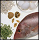 Nutrition for Everyone