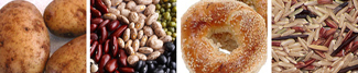 Nutrition for Everyone