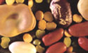 Nutrition for Everyone