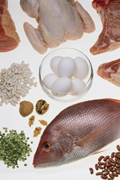 Nutrition for Everyone