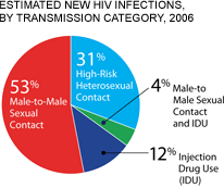 Estimated New HIV Infections by Transmission Category, 2006