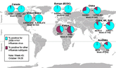 Esta ilustraci&oacute;n representa un mapa del mundo que muestra la cocirculaci&oacute;n del virus H1N1 de 2009 y de los virus de influenza de temporada. Se describe la situaci&oacute;n en los Estados Unidos, Canad&aacute;, Europa, Australia, Kenia, China y Hong Kong (China). Se elabor&oacute; un gr&aacute;fico circular para cada regi&oacute;n que muestra el porcentaje de casos de influenza confirmados en laboratorio que resultaron positivos ya sea para gripe H1N1 de 2009 u otros subtipos de influenza. La mayor&iacute;a de los casos de influenza confirmados por laboratorio registrados en los Estados Unidos, Canad&aacute;, Europa, Australia, China y Hong Kong (China) se atribuyen al virus de la gripe H1N1 de 2009.