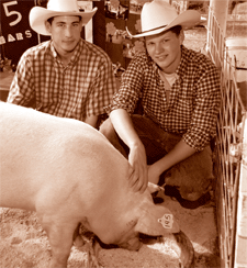 swine flu