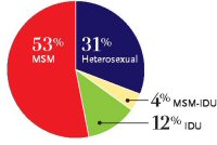 Figure 2. Estimated New HIV Infections, 2006, by Transmission Category
