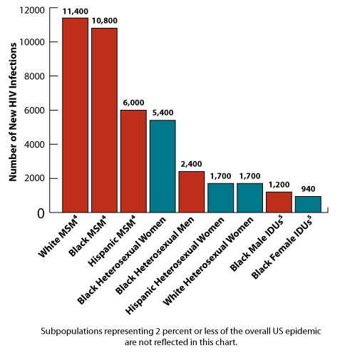 Estimates of New HIV Infections, by Race/Ethnicity, Risk Group and Gender for the Most Affected US Populations, 2009