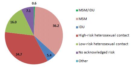 Percentage of Confirmed HIV Positive Events Among Male African Americans by Behavioral Risk