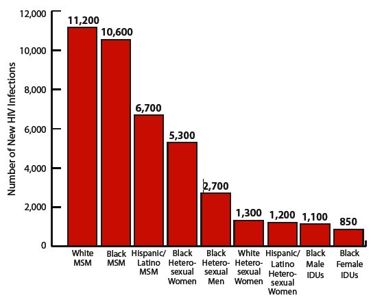 Figure 1: Estimated New HIV Infections in the United States, 2010, for the Most Affected Subpopulations