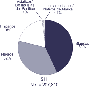 HSH; No. = 207,810

Blancos: 50%
Negros: 32%
Hispanos: 16%
Asi&aacute;ticos/Nativos de las islas del Pac&iacute;fico: 1%
Indios americanos/Nativos de Alaska: <1%