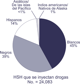 HSH que se inyectan drogas; No. = 24,083

Blancos: 45%
Negros: 39%
Hispanos: 14%
Asi&aacute;ticos/Nativos de las islas del Pac&iacute;fico: <1%
Indios americanos/Nativos de Alaska: 1%