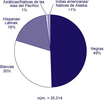 Raza o grupo étnico de las personas (incluidos los niños) a quienes se les diagnosticó el VIH/SIDA en el 2006
