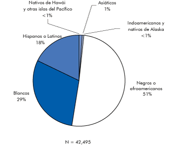 Raza o grupo étnico de las personas (incluidos los niños) a quienes se les diagnosticó el VIH/SIDA en el 2007, Nativos de Hawái y otras islas del Pacífico <1%, Asiáticos 1%, Native American/Alaska Natives <1%, Negros o afroamericanos 51%, Blancos 29%, Hispanos o Latinos 18%, N = 42,495