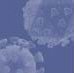 The Human Papillomavirus Vaccine: Lost in Space