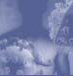 Sexually Transmitted Diseases in the United States: New Trends in a Continuing Epidemic