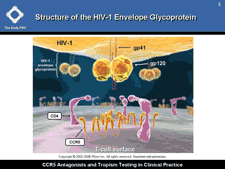 Ccr Antagonists And Tropism Testing In Clinical Practice