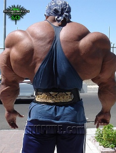 Put some muscle in the ADA!