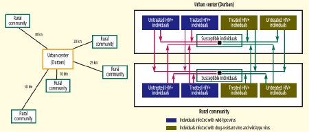 Figure 2. A Model to Predict the Epidemiologic Impact of Antiretroviral Distribution in KwaZulu-Natal Found That Focusing Treatment on Durban Will Prevent the Most New Infections, Lower Rates of Transmitted Drug-Resistant Virus, and Avert the Largest Number of AIDS Deaths. But of Course Excluding Rural Communities From Antiretroviral Access Would Be Unethical.