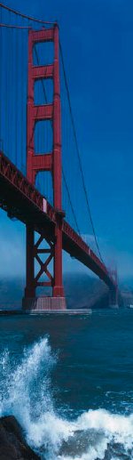 After Toronto, 46th ICAAC Offers Back to Basics