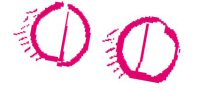 Guide to HIV, Pregnancy and Women's Health