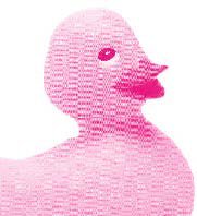 Guide to HIV, Pregnancy and Women's Health
