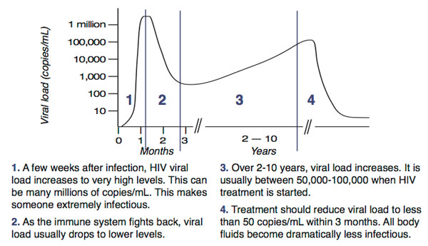 Viral Load 0435