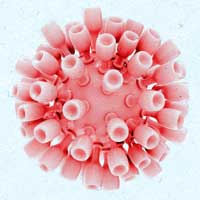 2014's Top 10 Events in HIV Medicine (Infographic)
