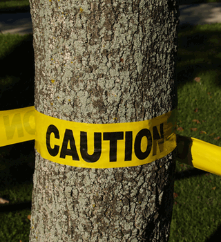 Harm Reduction for Barebacking?