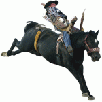 cowboy bareback riding in rodeo