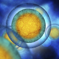 thumbnail image for blurb