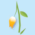 thumbnail image for blurb