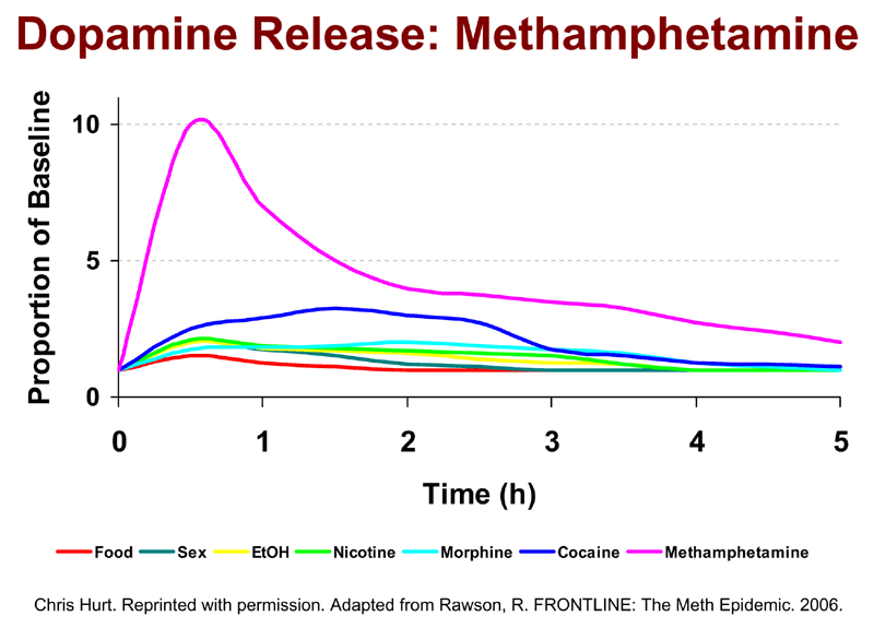 Dopamine Units Chart