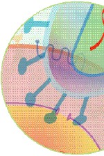 C&oacute;mo Funcionan las Medicinas Antiretrovirales