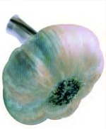 Ajo