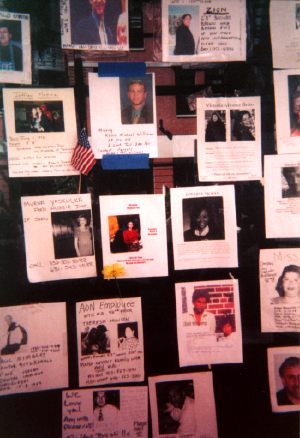 Article: The Last Word: In Memoriam: A Quilt of the Missing
