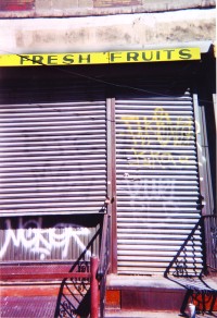 A Winter Tour of Harlem