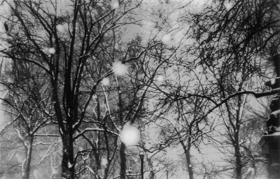 The Last Word: A Winter Gallery