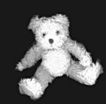 Teddy Bear