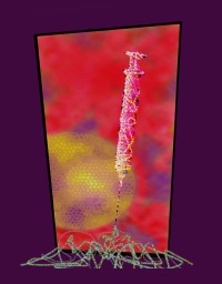 Article: The Search for an HIV Vaccine