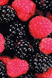 Diet and Lipodystrophy