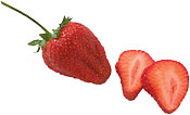 Diet and Lipodystrophy